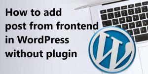 How to add post from frontend in wordpress without plugin