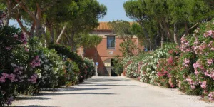 Accueil - Arboretum