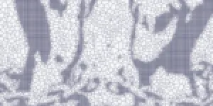 Se libérer du technocolonialisme