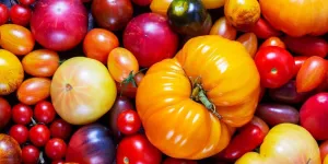 Hélène Darroze révèle son astuce pour sublimer vos salades de tomates