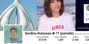 Non, le compte Sardine Ruisseau n'a pas été censuré par Twitter (et c'est regrettable)