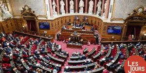 Le Sénat vote un rance texte antitrans