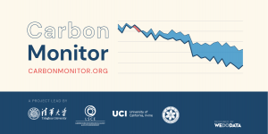 Carbon monitor