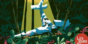 En Colombie, une course contre la montre et contre la jungle