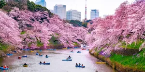 De Kyoto à Tokyo : nouvelle capitale pour nouveau Japon