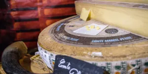 Oui, la filière comté pollue les rivières : après la polémique, on vous explique pourquoi le sujet est complexe