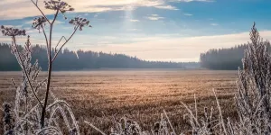 Descente d’air polaire : quelles régions sont concernées par cette baisse des températures attendue cette semaine ?