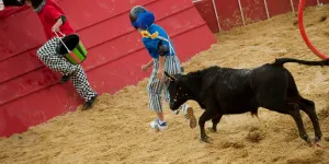 Ces deux villes du sud-ouest refusent de participer à la nouvelle version d’Intervilles : “Sans les vachettes, c’est non !”