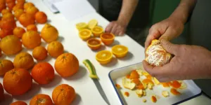 "La qualité ne suffit pas si elle n’est pas standardisée" : en Corse, l'agriculture face au mur des supermarchés