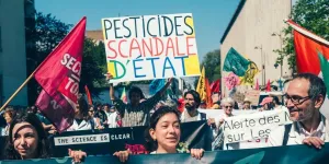 L’État français condamné pour la contamination massive de nos écosystèmes aux pesticides : «Une victoire révolutionnaire pour la biodiversité»
