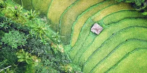 Innovons ensemble pour les agricultures de demain