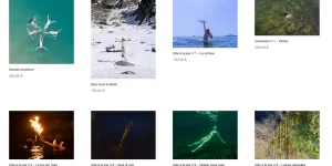 Art contemporain : le recours à l'intelligence artificielle, "outil" ou "sujet d'exploration" pour les artistes ?