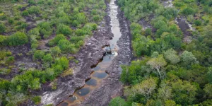 "Ils blablatent à la COP16 et on continue de mourir" : en Colombie, des militants écolos qui vivent dans la peur