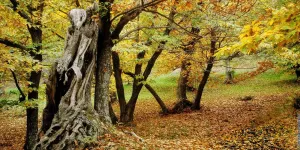 Nos plus belles balades d’automne sur la Côte d’Azur