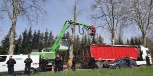 VIDÉO - Reprise de l'abattage des arbres et nouvelle garde à vue sur le chantier de l'A69