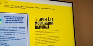 Pétition contre la loi Duplomb, #Nicolasquipaie : pourquoi ces mouvements sont salutaires