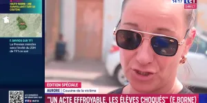 Surveillante poignardée à Nogent : « elle a un petit garçon », sa cousine, choquée, témoigne