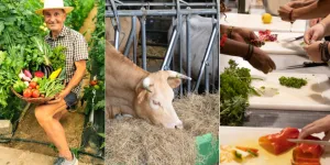 Mieux manger sans se ruiner : en juin, Strasbourg nous régale avec 60 animations gratuites