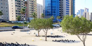 Avec 54 °C, le Koweït détient le record de chaleur dans un lieu habité