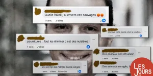 Racisme débridé et députés RN : bienvenue dans le groupe Facebook officiel « Jordan Bardella »