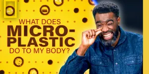 What Do Microplastics Do To My Body? | National Geographic