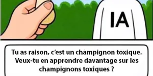 Tristan Nitot✓ (@nitot@framapiaf.org)