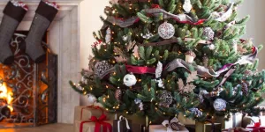 Sapins de Noël : que penser de l’enseigne Balsam Hill ?