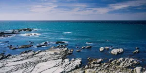 L'acidification des océans dépasse un seuil critique, la septième "limite planétaire" sur neuf est désormais franchie