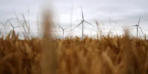 Wind powers a record summer for renewable energy in Britain