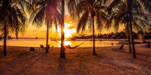 $1 trillion in the shade – the annual profits multinational corporations shift to tax havens continues to climb and climb