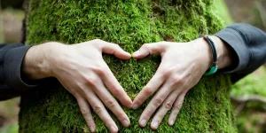 Ateliers en plein air, stages estivaux et reprise en salle! • Yoghamsa