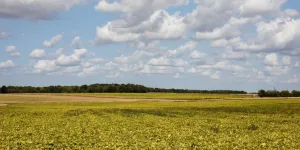 Pierrick Berthou : "Même allégée, la loi Duplomb est un pas de plus dans la direction de l'agriculture industrielle"