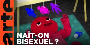 Sommes-nous tous bisexuels ? | 42 - La réponse à presque tout | ARTE