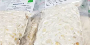 Tempeh bio par une indonésienne en Gironde