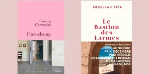 Quels romans lire cette semaine ? Notre sélection, avec le captivant « Hors-champ » de Cristina Comencini