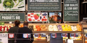 60 millions de consommateurs lance une alerte : Pourquoi dire adieu aux fruits et légumes en barquette ?