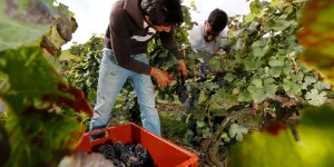 "J’ai le sentiment de ne venir que pour rembourser ma dette" : ces Marocains pour qui le "rêve français" a pris fin