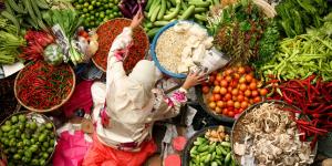 The EAT-Lancet Commission on Food, Planet, Health - EAT Knowledge