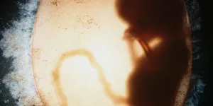 "Des pressions psychologiques allant jusqu’à la violence" : enquête sur la face cachée de la GPA "altruiste"