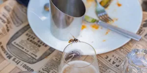 Remboursement des plats, "malbouffe signature", oral de kebab… Ça donnerait quoi, un numerus clausus des restaurants ?