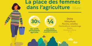 Infographie - La place des femmes dans l'agriculture | Ministère de l'Agriculture et de la Souveraineté Alimentaire