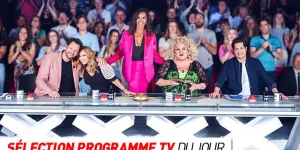 Programme TV : La France a un incroyable talent, Harry Potter et le Prince de sang-mêlé… que regarder à la télé ce soir ?