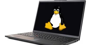How to Install Linux on a Windows PC