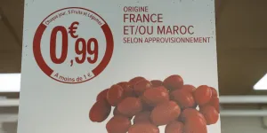 "Les accords de libre-échange avec l'UE ont bouleversé notre santé" : la face cachée des tomates marocaines bon marché