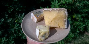 Circuit court : quand le fromage est fait en ville