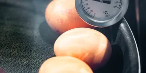 [Four solaire boite] Recette : cuire des oeufs - Solar Brother