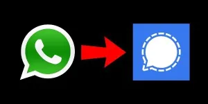 Petit topo sur la différence Whatsapp /Signal pour ma gamine