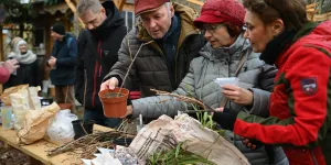 Avec sa bourse aux graines, le Jardin Jacoutot met le troc à l’honneur