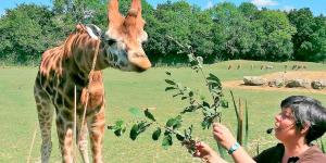 Immersion au parc zoologique du Cerza !