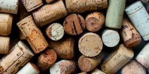 L'astuce récup' insolite du bouchon de liège dans le jardin !